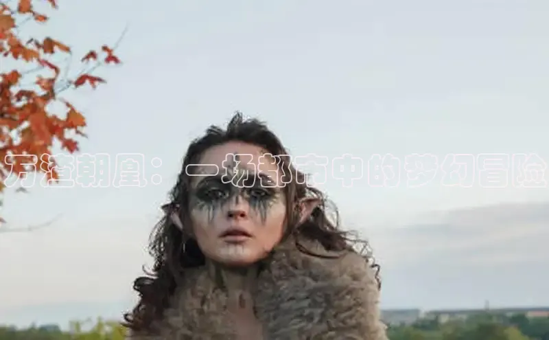 风车漫画网页版