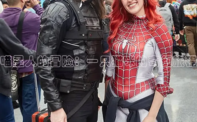 风车漫画官方网页版入口